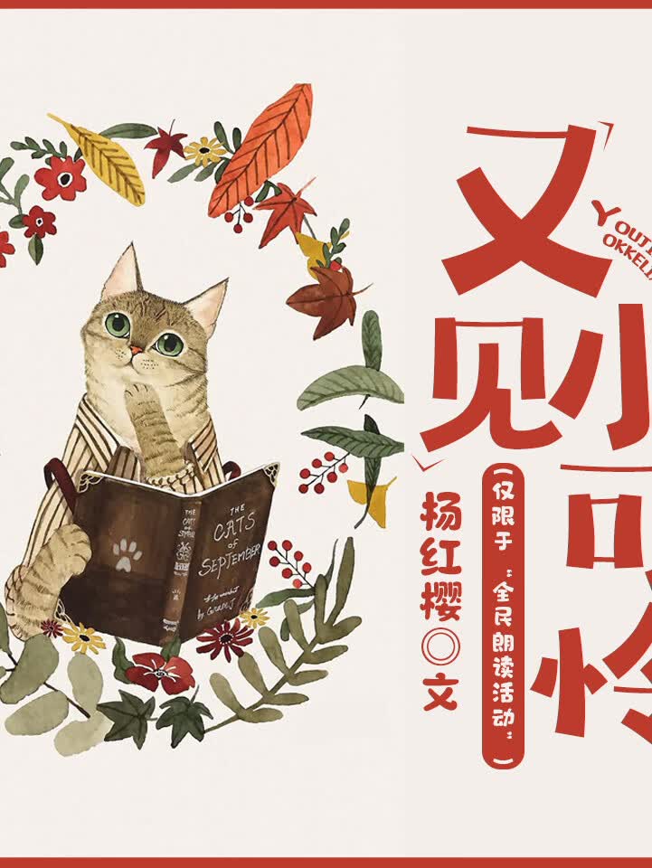 又见小可怜 | 笑猫日记 | 杨红樱 | 儿童故事