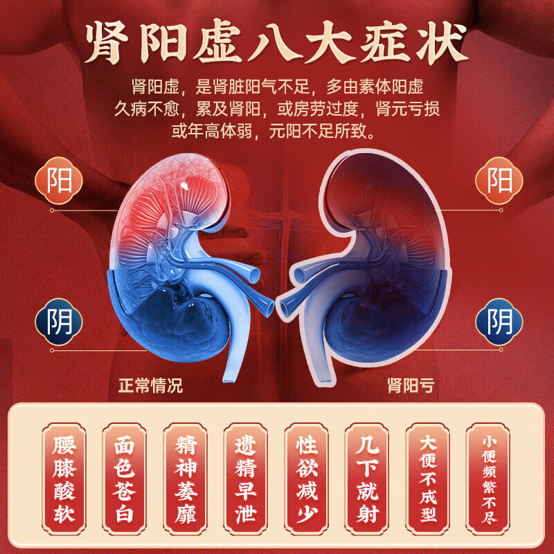 [栢吉堂]五子衍宗丸 24g 3盒装 补肾益精 肾虚精亏 男科用药 治疗早泄阳痿不育调理肾虚精亏遗精早泄 半个疗程