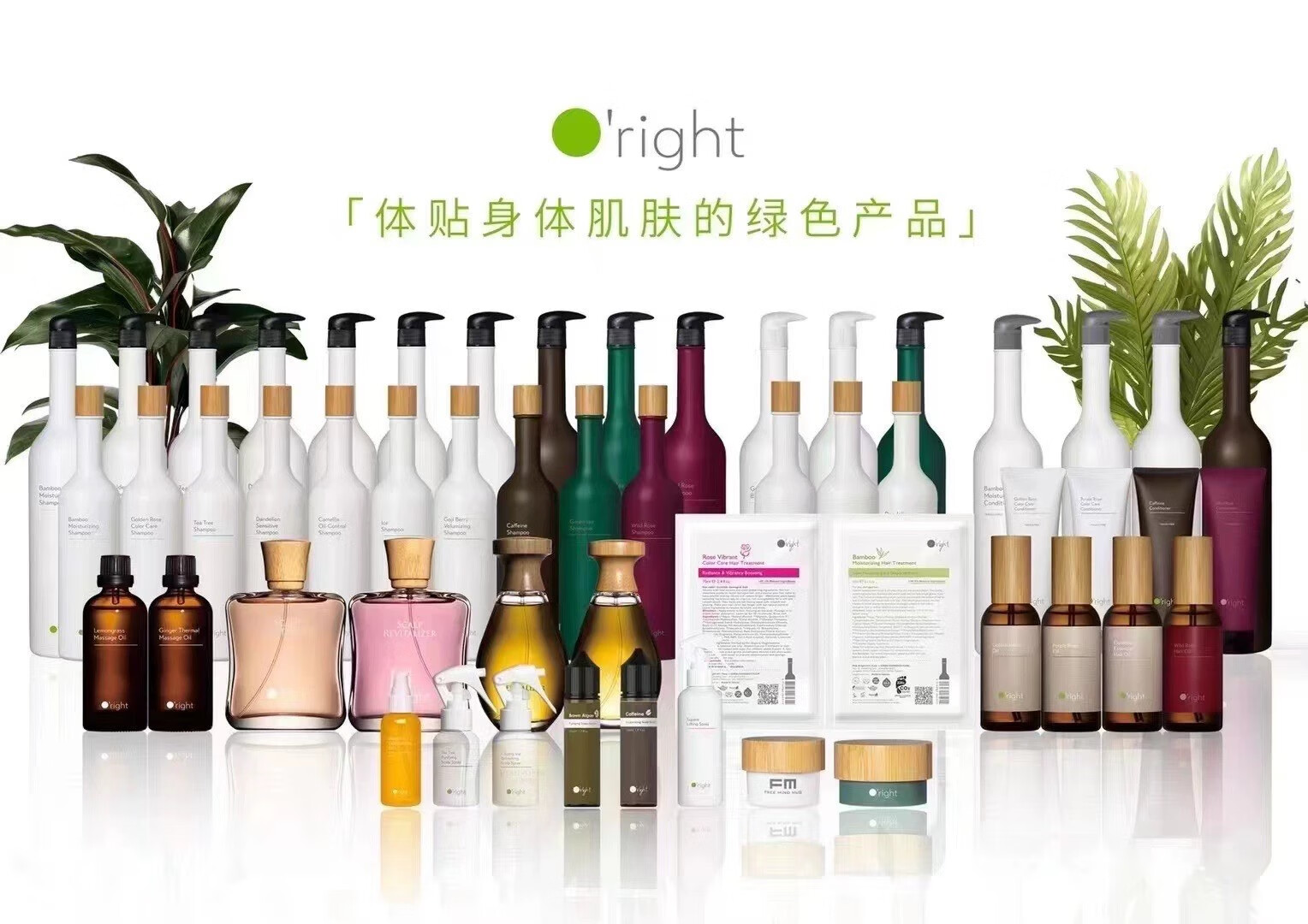 bh欧莱德茶树茶花咖啡因蒲公英枸杞绿茶香槟洗发水控油清凉去屑 茶花