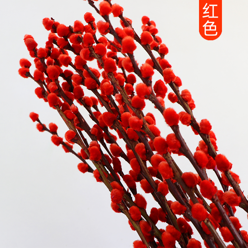 绘枫屿银柳鲜枝真花水培植物新年年宵花福桶银柳干花室内客厅装饰花束 红色60cm40支 不含盆【10支一色请备注】