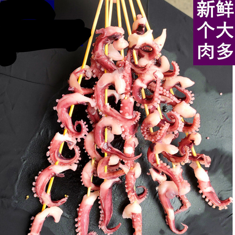 墨之瑶铁板烧烤凤舞大鱿鱼串须20串凤舞串冷冻半成品海鲜脆口 20