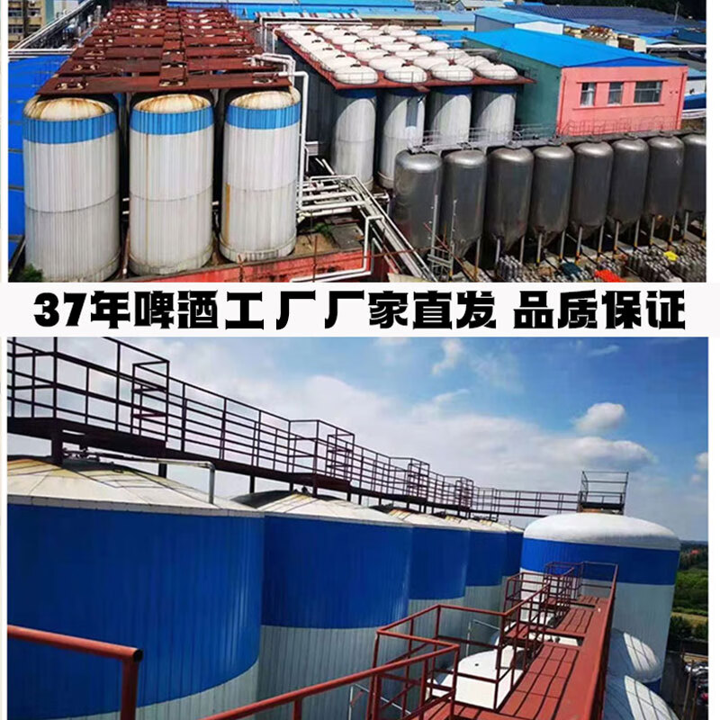 劲派无糖啤酒0糖0脂肪0碳水无添加拉格零糖零脂全麦精酿零糖啤酒整箱 大罐 500mL 6罐