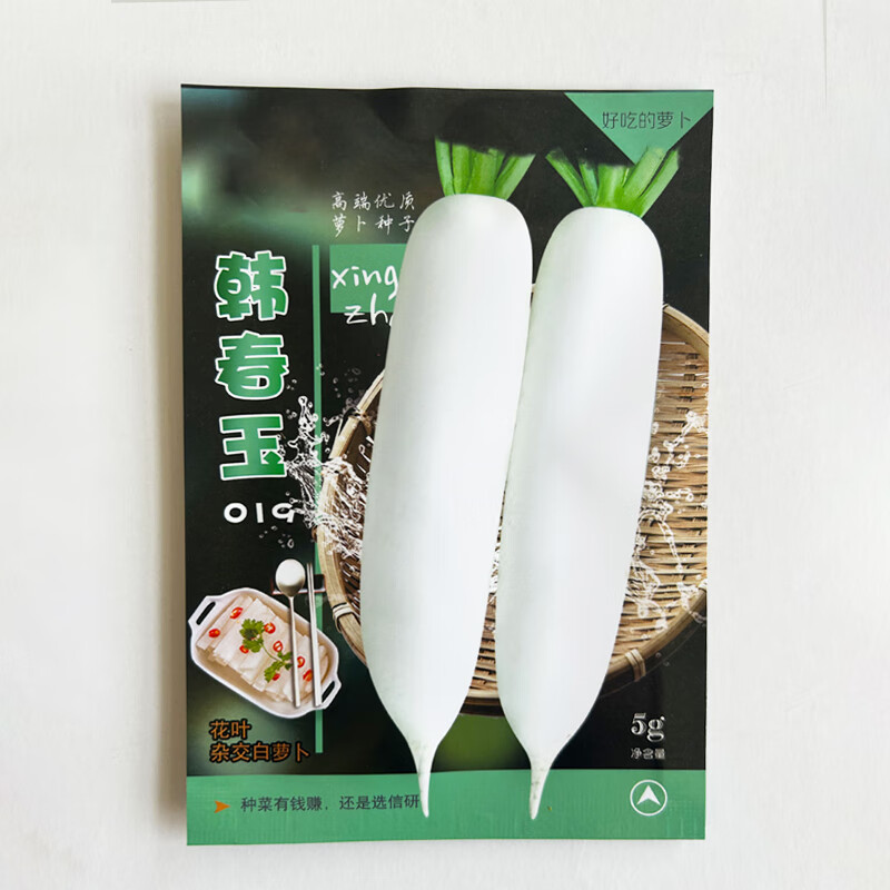 長耕 韓國白蘿卜種子水果蘿卜種籽鮮嫩多汁甜脆可口可做泡菜四季播 韓春玉019白蘿卜5克/商品性佳