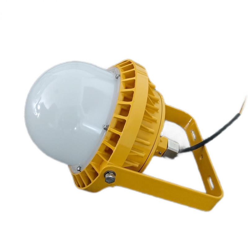 维莱奥斯 LED防爆平台灯PTD2001-50W-支架安装