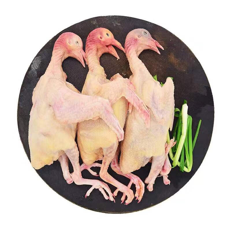 味巴哥4只装六两新鲜鸽子肉现杀正宗乳鸽生鲜农家散养月子煲汤顺丰
