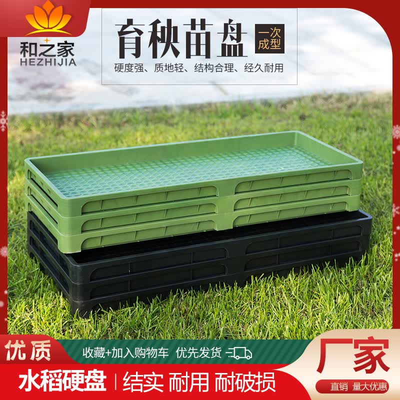 pp硬质9寸7寸机插硬秧盘水稻育秧盘育苗盘抛秧盘水稻培养苗盆 新款9寸