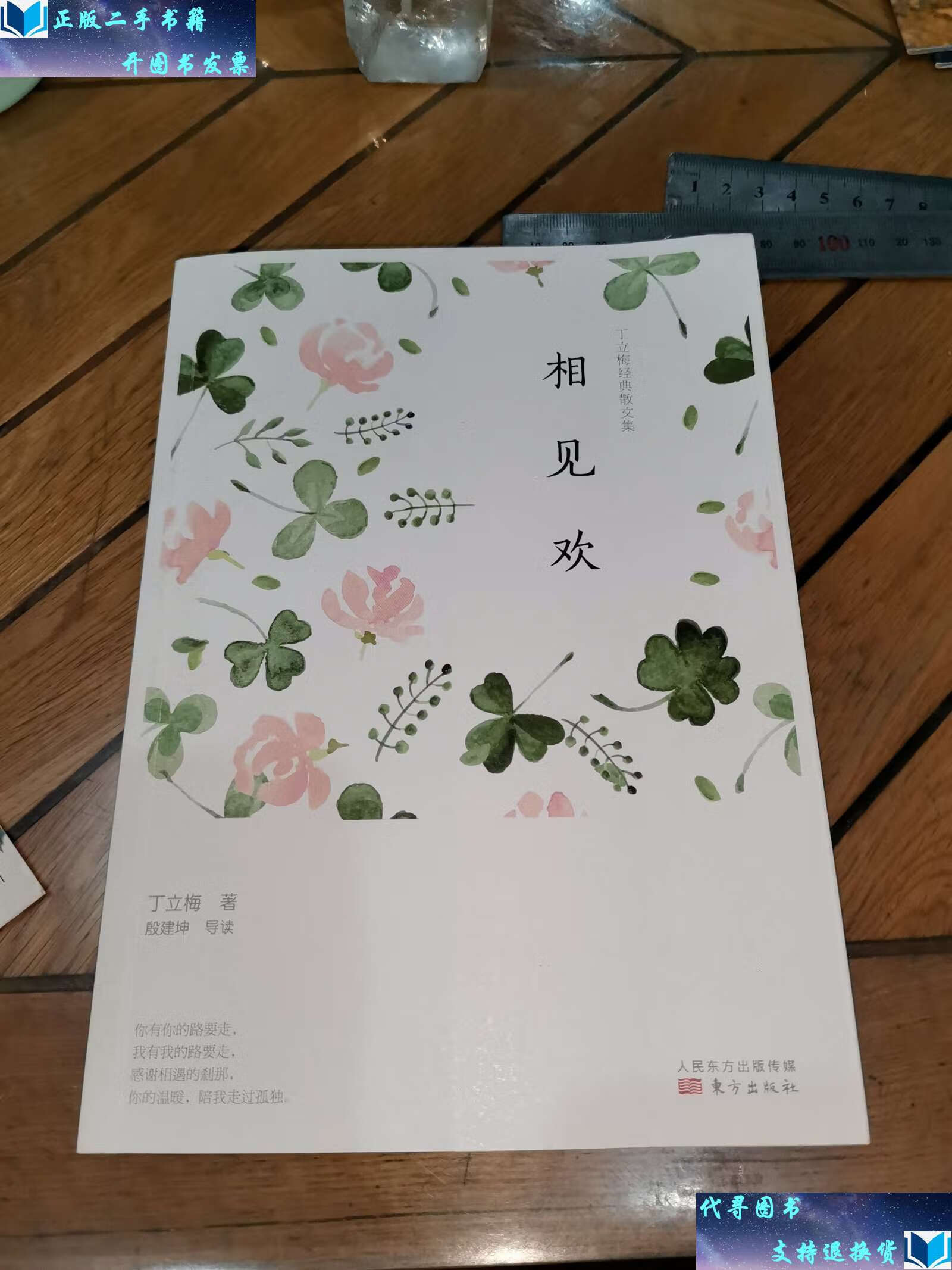 【二手9成新】丁立梅经典散文集:相见欢 /丁立梅,殷建坤 东方