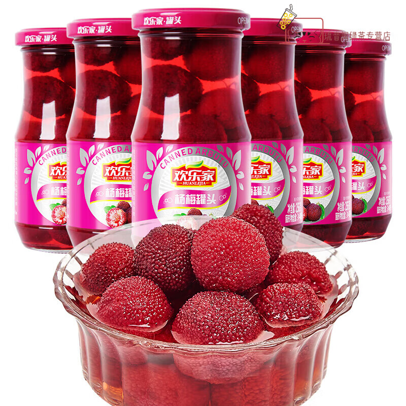 欢乐家杨梅罐头256g*6罐新鲜糖水烘焙原料杨梅罐头水果整箱 杨梅256g*