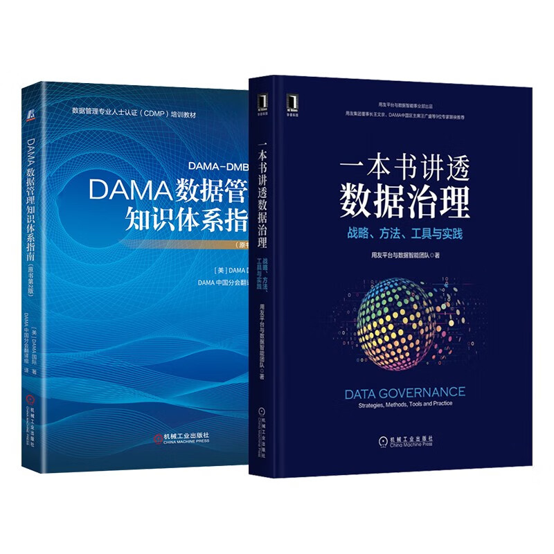 DAMA数据管理知识体系指南（原书第2版）+一本书讲透数据治理：战略、方法、工具与实践2本