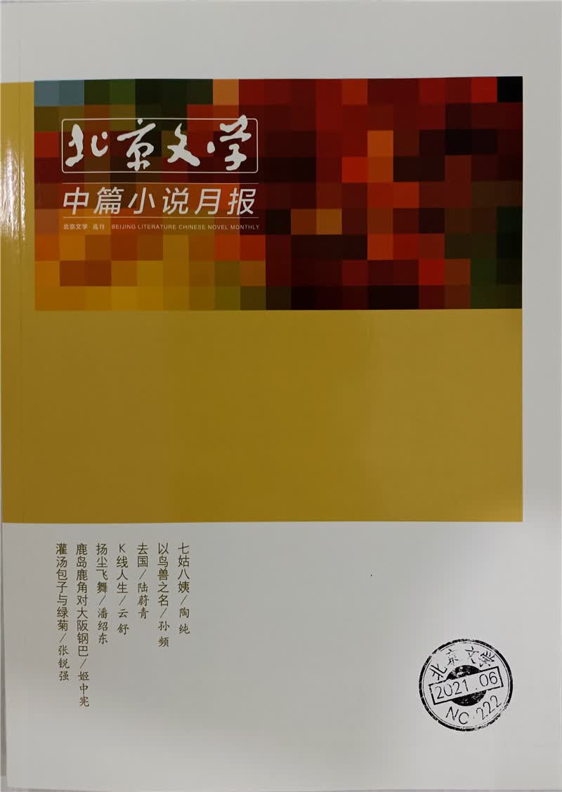北京文学中篇小说月报 2021年6月号 京东
