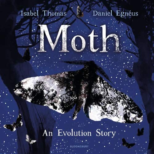 moth