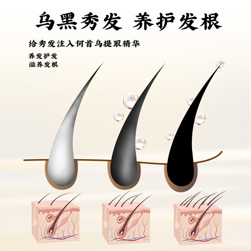 钻姿何首乌洗发水植物黑灵芝洗发液洗头膏头皮营养液 草本植物营养液一瓶80ml