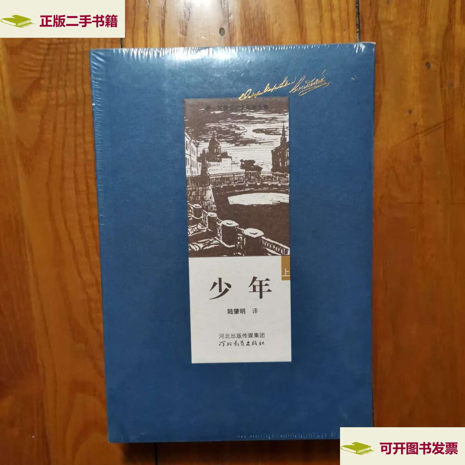 【二手9成新】费·陀思妥耶夫斯基全集《少年》上下册(全二册) /陀思