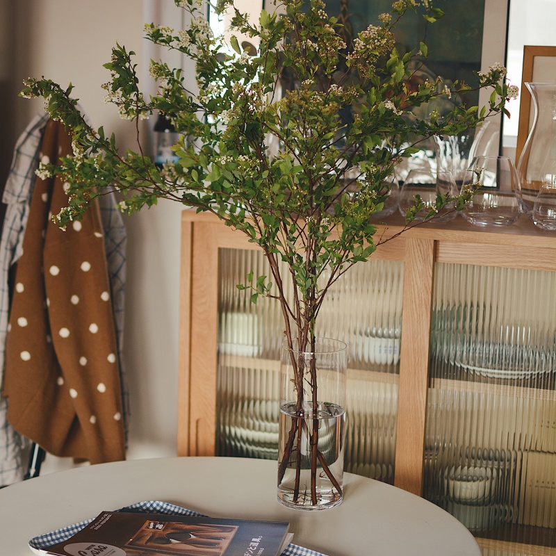 一瓣花瓣马醉木花瓶大口径花瓶收集时光 say日光森林 直身玻璃花瓶