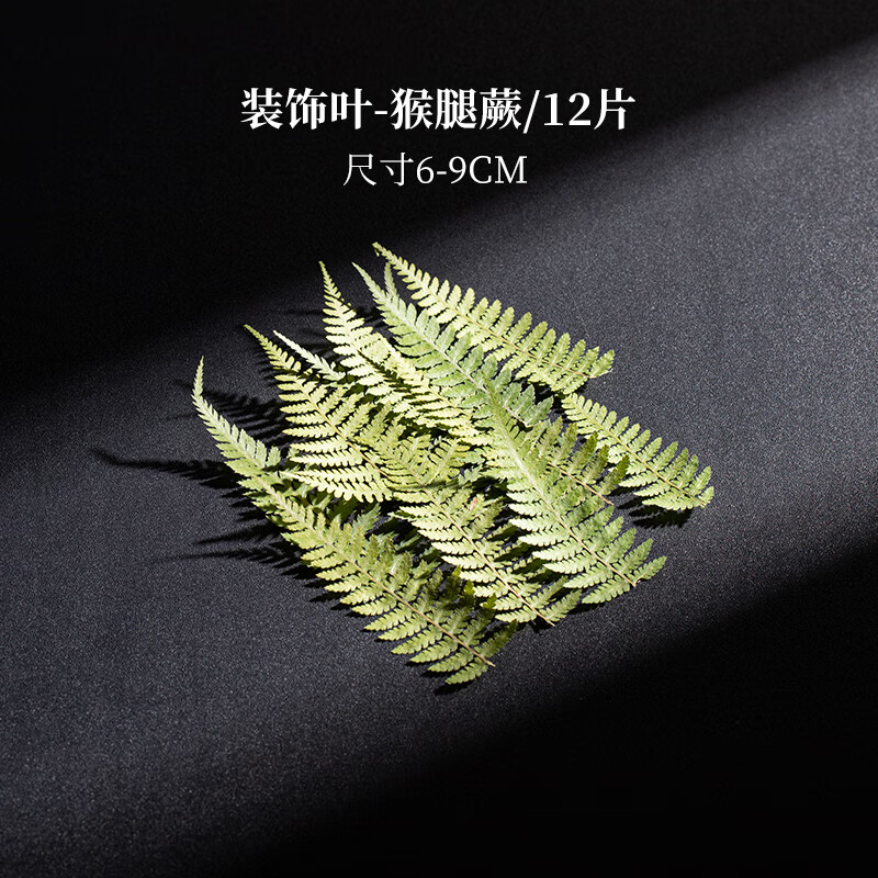 百圣牛酒吧雞尾酒裝飾飲品調(diào)酒裝飾物葉子酒杯酒簽植物標本楓葉竹葉干花 猴腿蕨12片