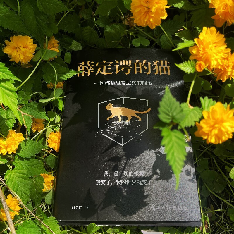 薛定谔的猫：一切都是思考层次的问题