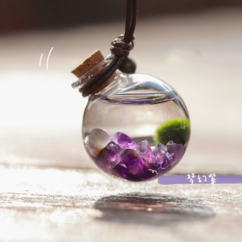 海藻球随身瓶海藻球宠物marimo海藻球diy随身瓶水晶生态瓶海藻球 梦幻紫 小号(28mm)
