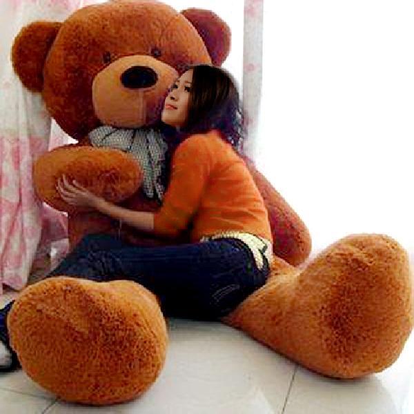 泰迪熊公仔熊猫抱抱熊抱枕布娃娃毛绒玩具生日礼物女生可爱玩偶女 深棕色泰迪熊 1.6米（亏本促销）