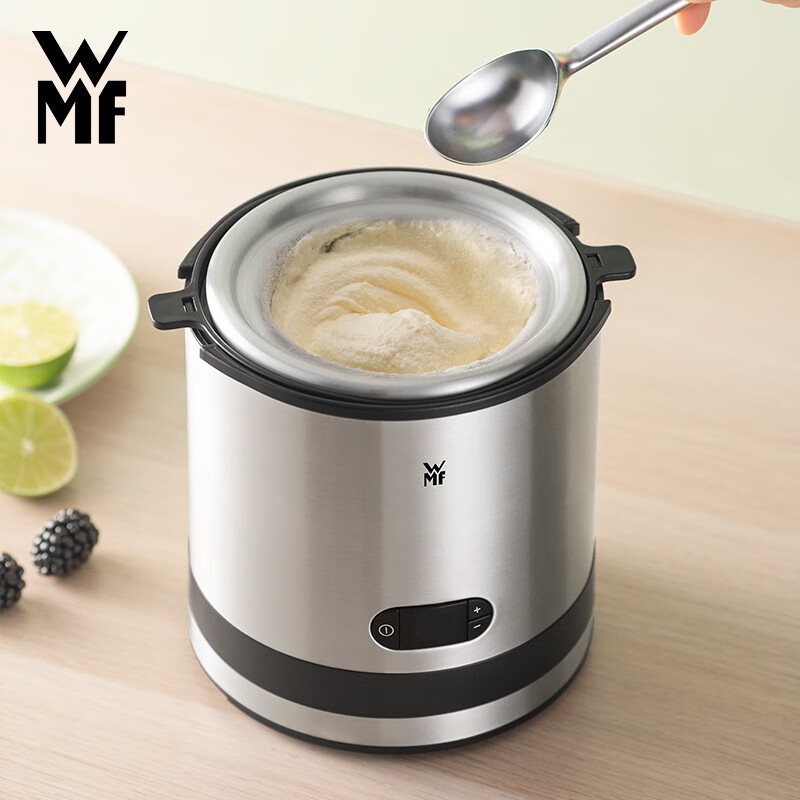 福腾宝(wfm)德国福腾宝冰淇淋机家用小型自制迷你水果雪糕冰激凌机