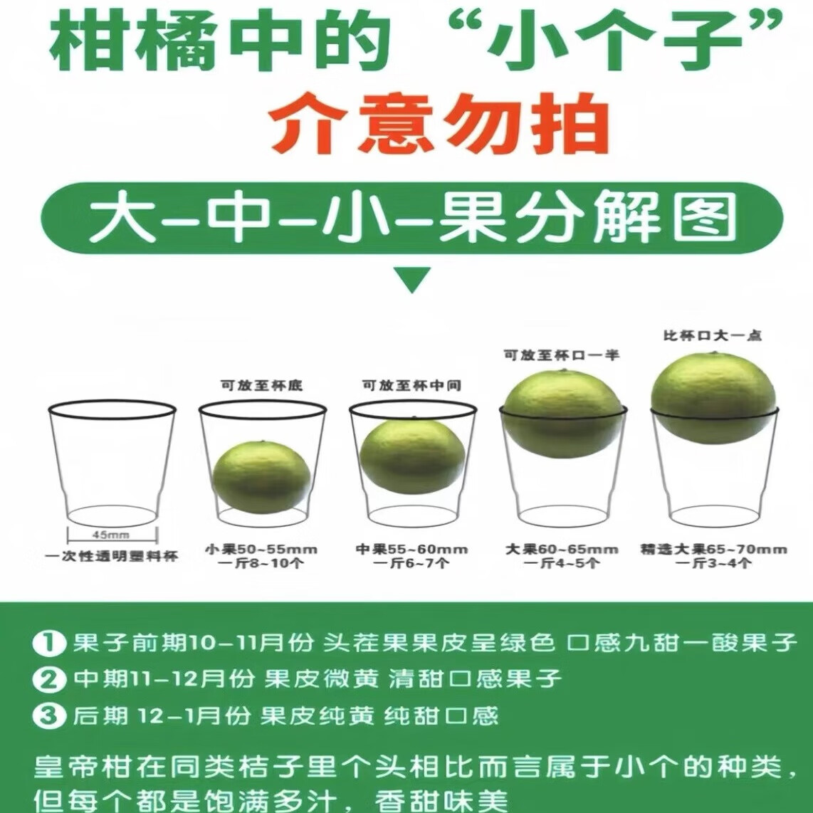 鲜宝道广西皇帝柑当季新鲜水果整箱 5斤中果50-60mm净重4.6斤