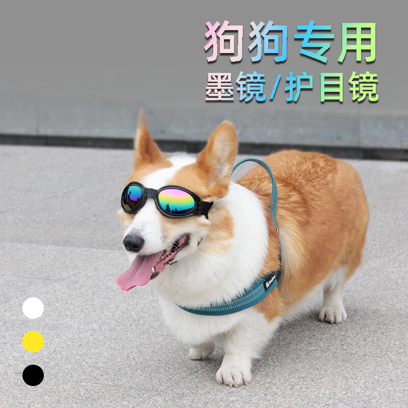 柯基墨镜 宠物眼镜太阳眼镜狗墨镜防风柯基法斗泰迪模特拍照道具狗狗