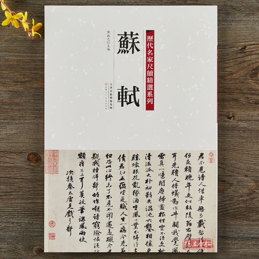 【二手99新】历代名家尺牍精选系列 苏轼苏东皮手札墨迹20幅收录