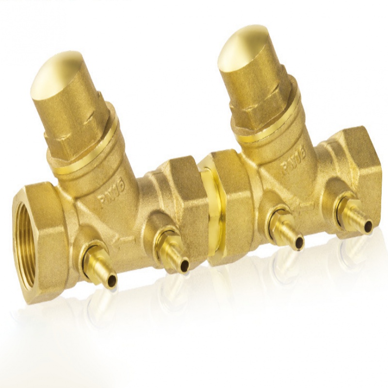 阀门 4分6分1寸工程黄铜倒流防止器dn32内螺纹倒流防止器 dn15(4分)