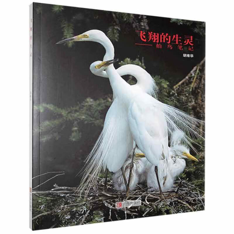 飞的生灵摄影 图书
