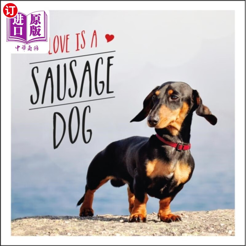 海外直订love is a sausage dog 爱是香肠狗