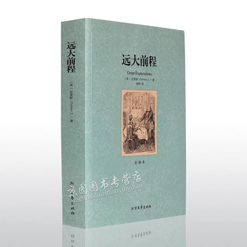 【中文完整版】远大前程(全译本)/世界文学名著 中文全译本无删减正版 狄更斯著 青少版 原版原著 完