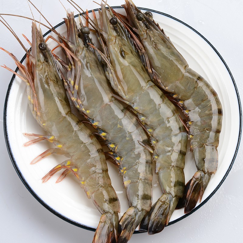 渔哥戏鱼 【拍3份仅 109】超大黑虎虾鲜活急冻 越南虎虾斑节虾深海