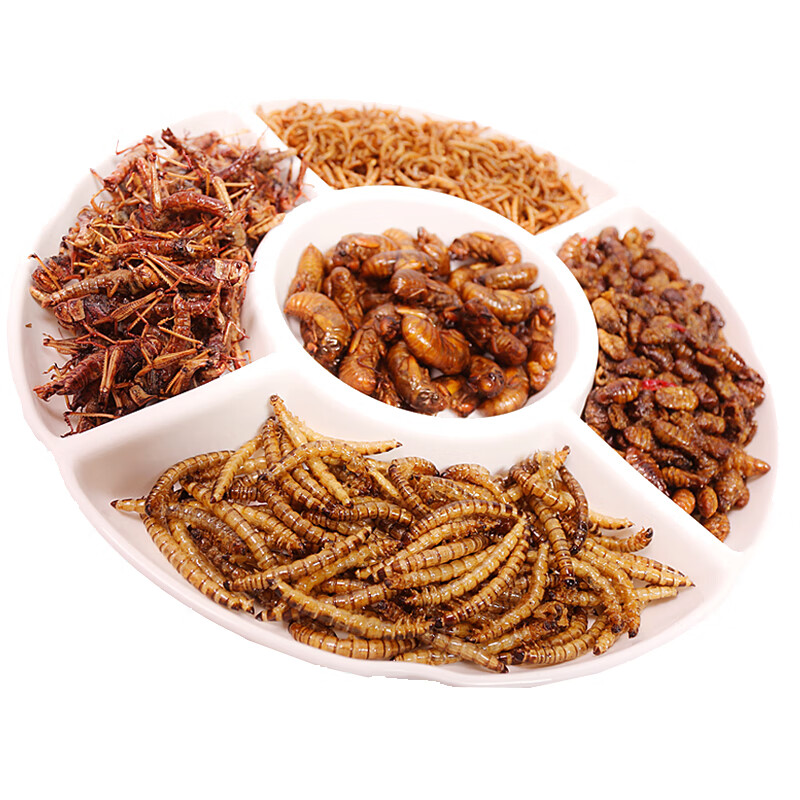 伯贤 金蝉知了猴 油炸蚂蚱 即食蚕蛹 新鲜蝗虫 大麦虫套餐昆虫零食虫