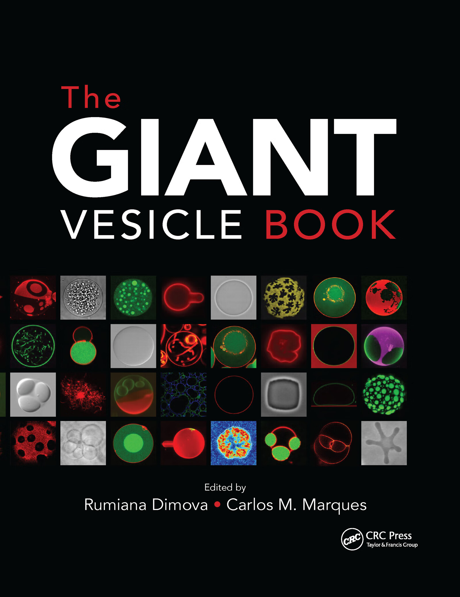 预订 the giant vesicle book