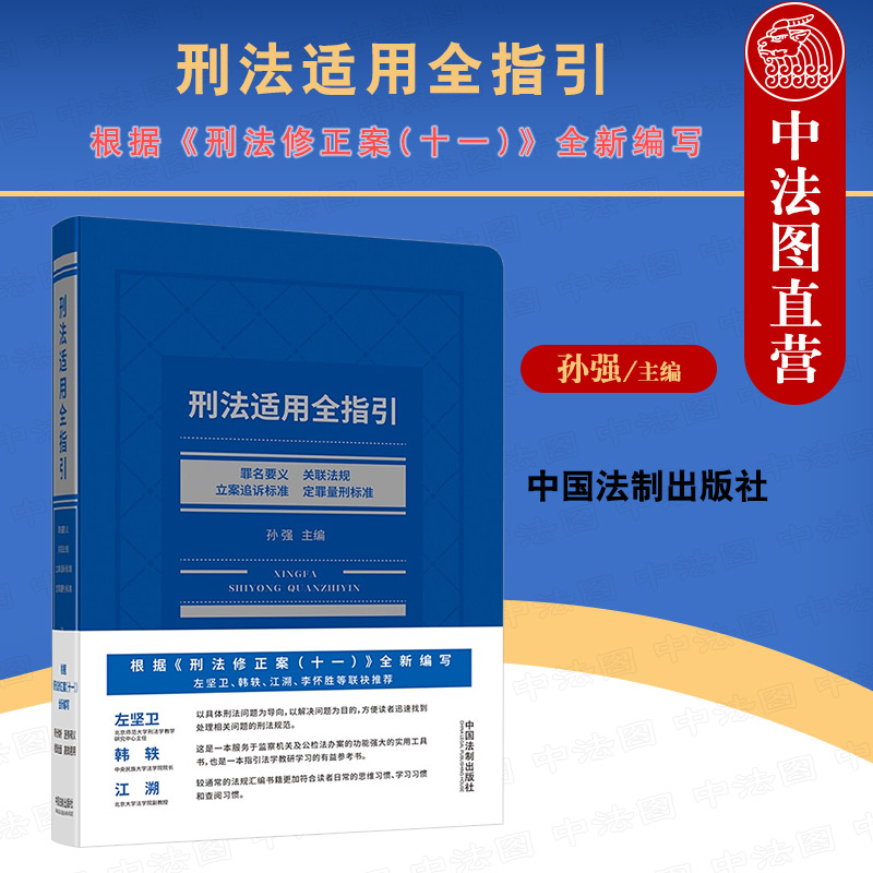 刑法适用全指引 罪名要义关联法规立案追诉标准定罪量刑标准 孙强 法律规范适用实务工具书司法解释释义