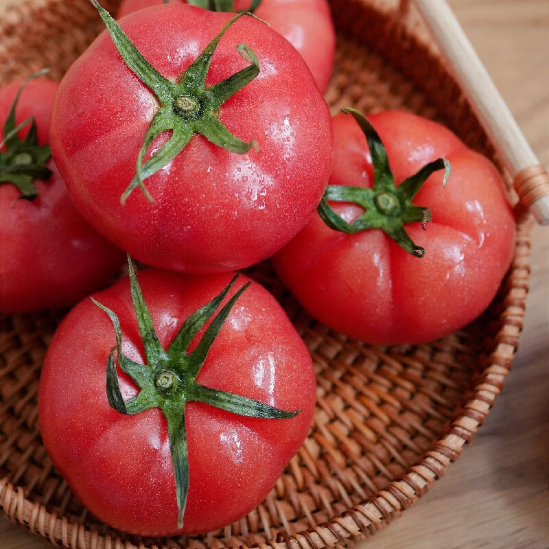 安乐农顺丰快递正宗普罗旺斯新鲜自然熟可生吃沙瓤西红柿当季蔬菜番茄