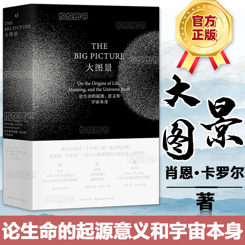 现货 大图景书论生命的起源意义和宇宙本身)本质人工智能 记忆时间量子宇宙意识关怀哲思万物起源时间