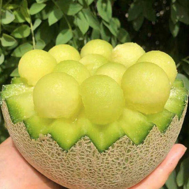 鹿唛正宗山东烟台海阳网纹瓜玫珑瓜蜜瓜新鲜水果玫珑瓜送礼生鲜 精选2