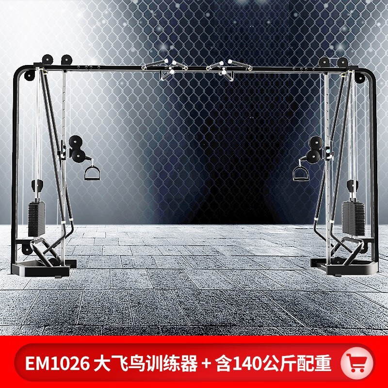 北巧龙门架商用小飞鸟综合训练器健身房专用大飞鸟多功能臂力机双臂机