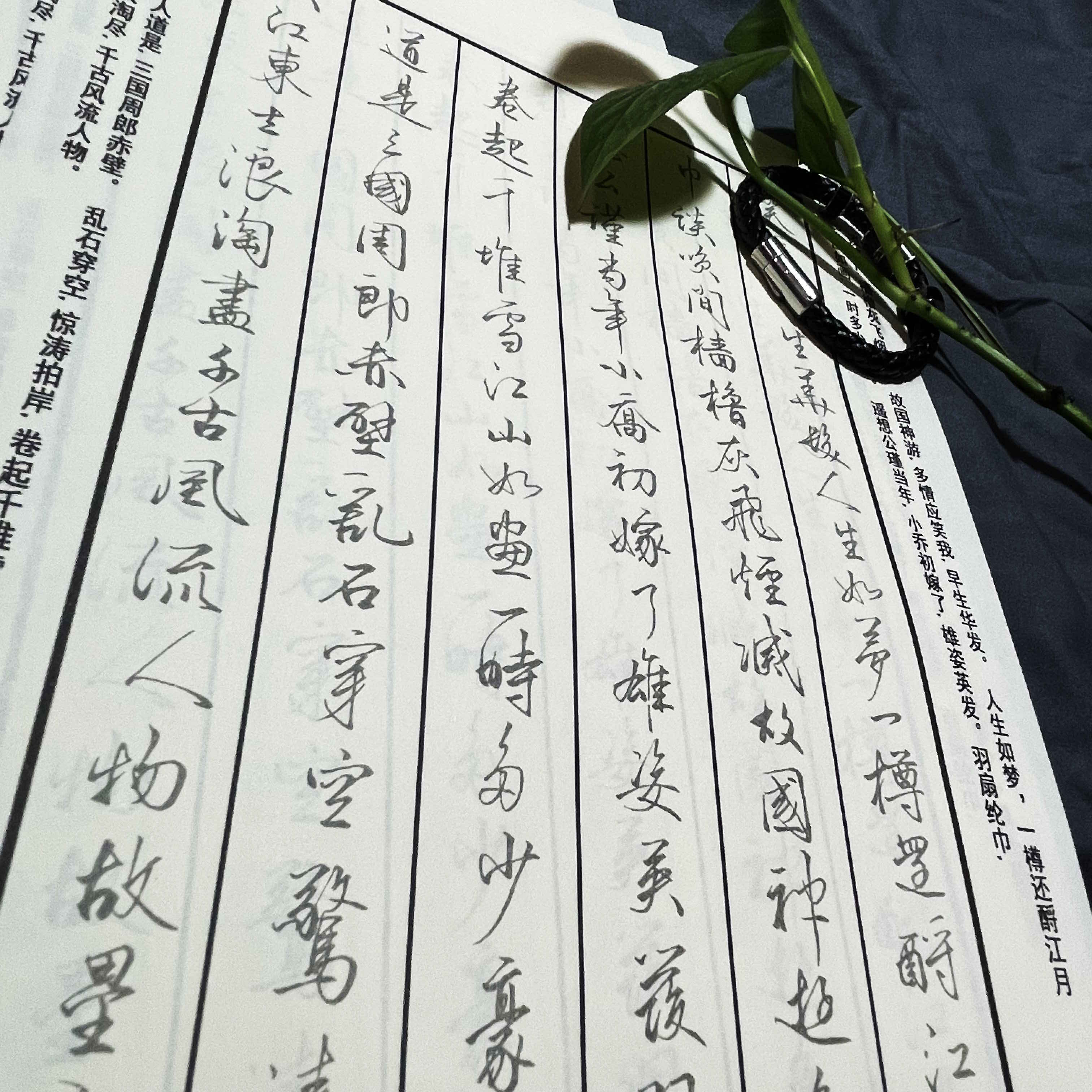 美观实用钢笔行书字帖行草美工笔中性笔硬笔成人练字飘逸行楷真古诗词