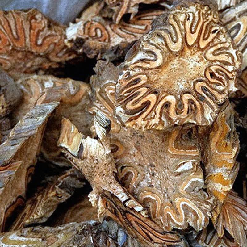 广西野生龙骨风500克g大贯众飞天擒罗飞天蠄蟧泡酒料煲汤料中药材