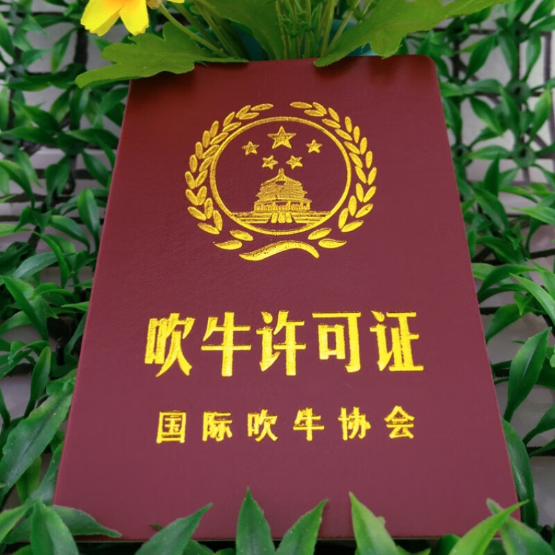 珠佩丽吹牛许可证搞笑证书整蛊玩具恶搞整蛊恶搞礼物播间场景道具留人