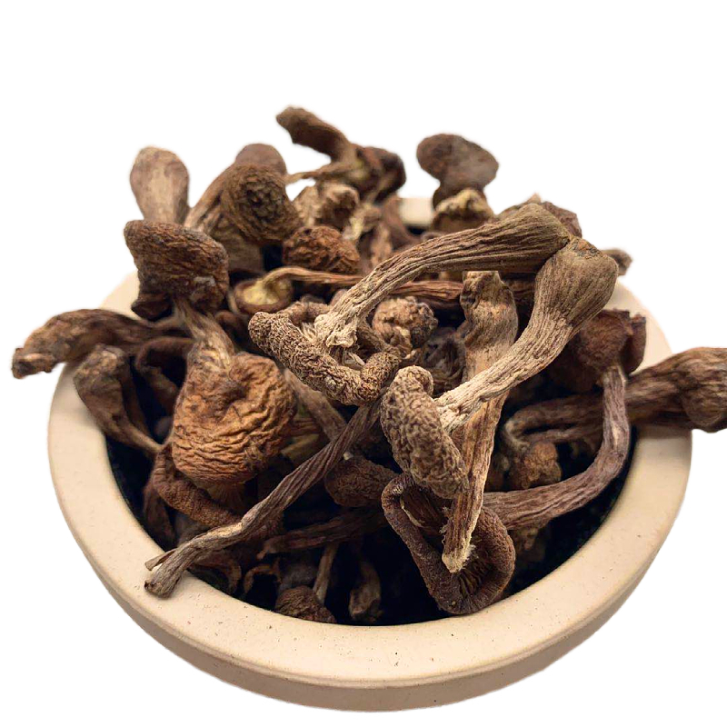 菌妙榛菇东北榛蘑丁干货500g特产2021新货无杂农家小鸡炖蘑菇 500g