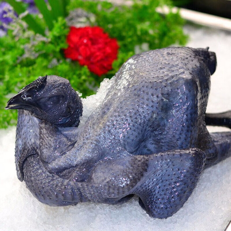 乌鸡新鲜现杀正宗土鸡农家散养五黑乌骨鸡整只鸡生鲜送礼净膛发货