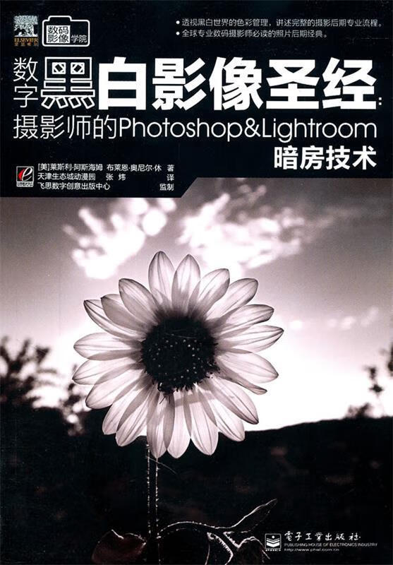 数字黑白影像:摄影师的Photoshop