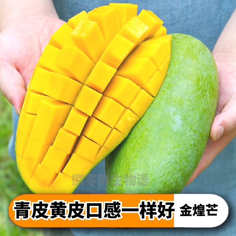 捌零鲜生物语（顺丰JD）正宗广西金煌芒果新鲜水果特大果芒果青皮芒果水果礼盒 净9斤精品大果（精选）