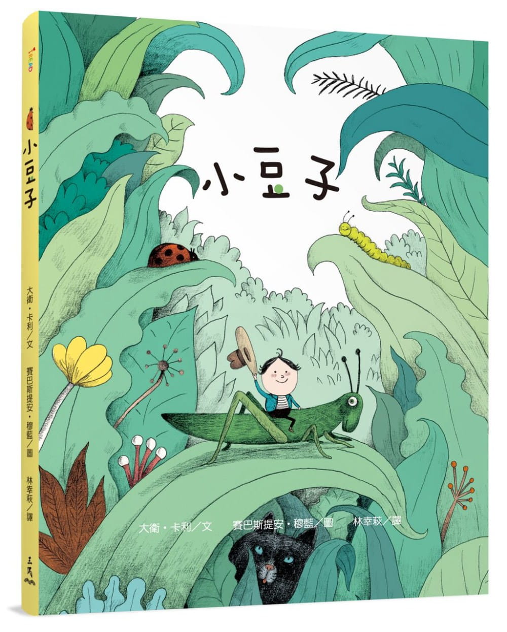 预售 大卫卡利小豆子三民