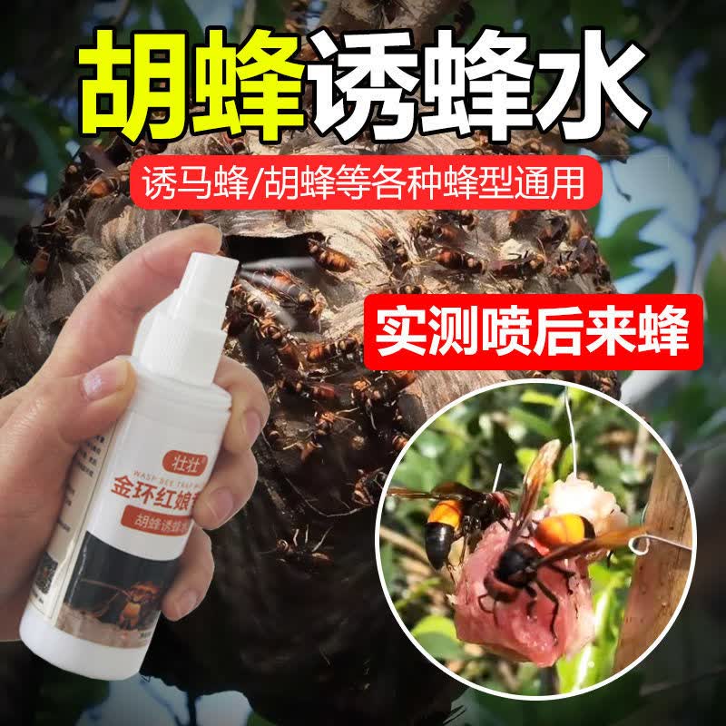 强力诱蜂液野外捕捉红娘胡蜂黑尾招蜂水养蜂工具大容量黑尾胡蜂诱蜂水