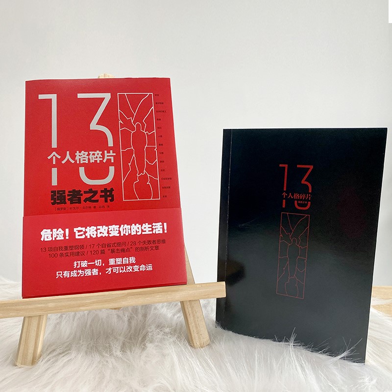13个人格碎片：强者之书（危险！本书将改变你的生活）