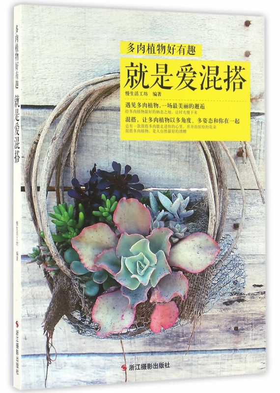 就是爱混搭(多肉植物好有趣)
