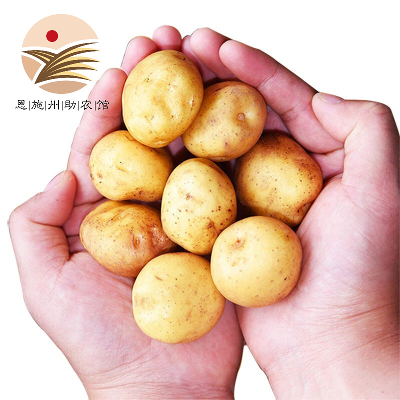 如何查看根茎类的历史价格|根茎类价格比较